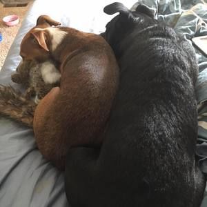 Meet your Posher, Bryan